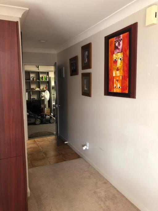 Sunny, Quiet, 2-Bedroom Unit In Fabulous Location! Cambridge Eksteriør bilde